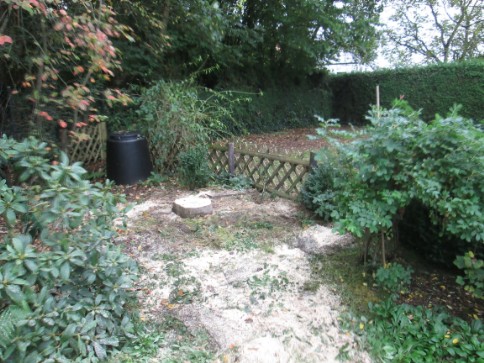 Eine Baumfällung wurde durchgeführt